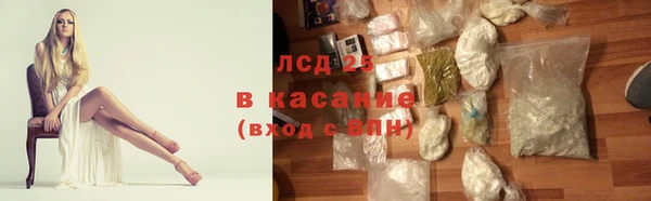 крисы Ростов