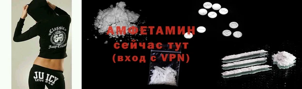 крисы Ростов
