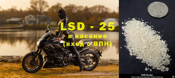 крисы Ростов