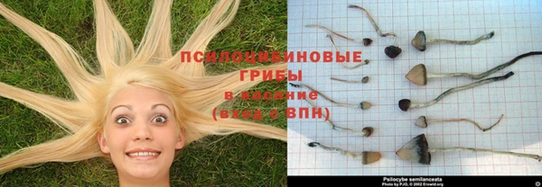 каннабис Абдулино