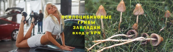амф Абаза