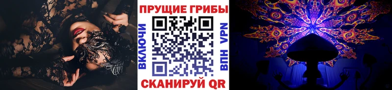 Псилоцибиновые грибы GOLDEN TEACHER  Сусуман 